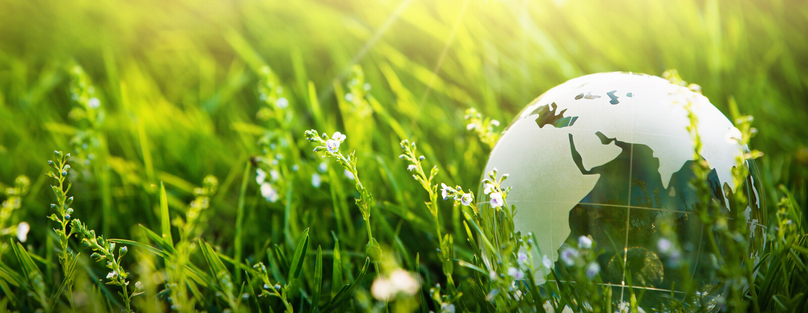 Regenerative Energie